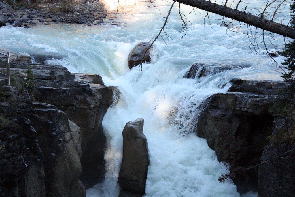 ג'ספר Sunwapta Falls Rocky Mountain Lodge שירותים תמונה