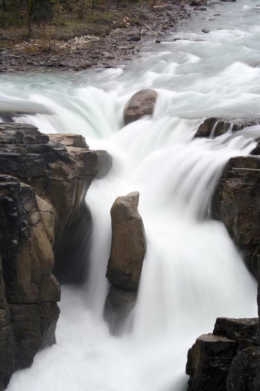 ג'ספר Sunwapta Falls Rocky Mountain Lodge מראה חיצוני תמונה